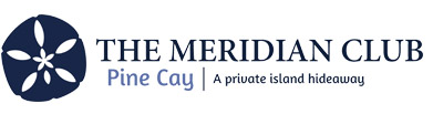 Portfolio Logo