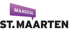 Portfolio Logo