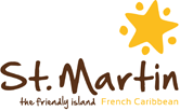 Portfolio Logo