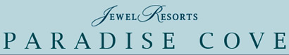 Portfolio Logo
