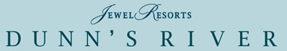 Portfolio Logo
