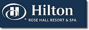 Portfolio Logo